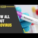 norovirus outbreaks of 2024