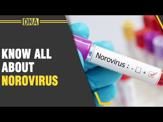 norovirus outbreaks of 2024