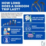 how long does a mushroom trip last