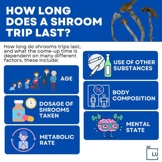 how long does a mushroom trip last