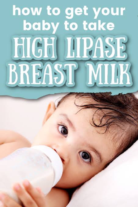 high lipase milk