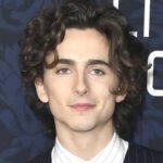 timothée chalamet movies