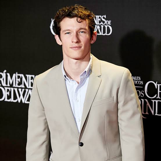 callum turner movies and tv shows