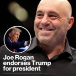 joe rogan trump