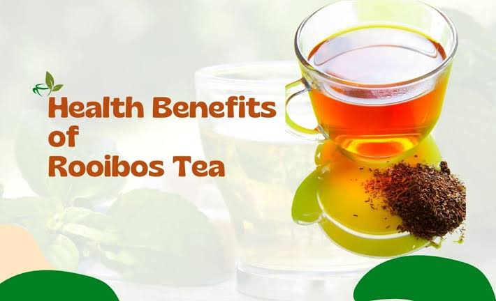 rooibos tea health benefits