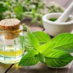 Peppermint tea health benefits