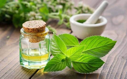 Peppermint tea health benefits